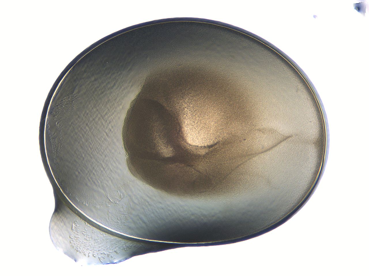 04i7_C6_ImagerDefaults_3.jpg