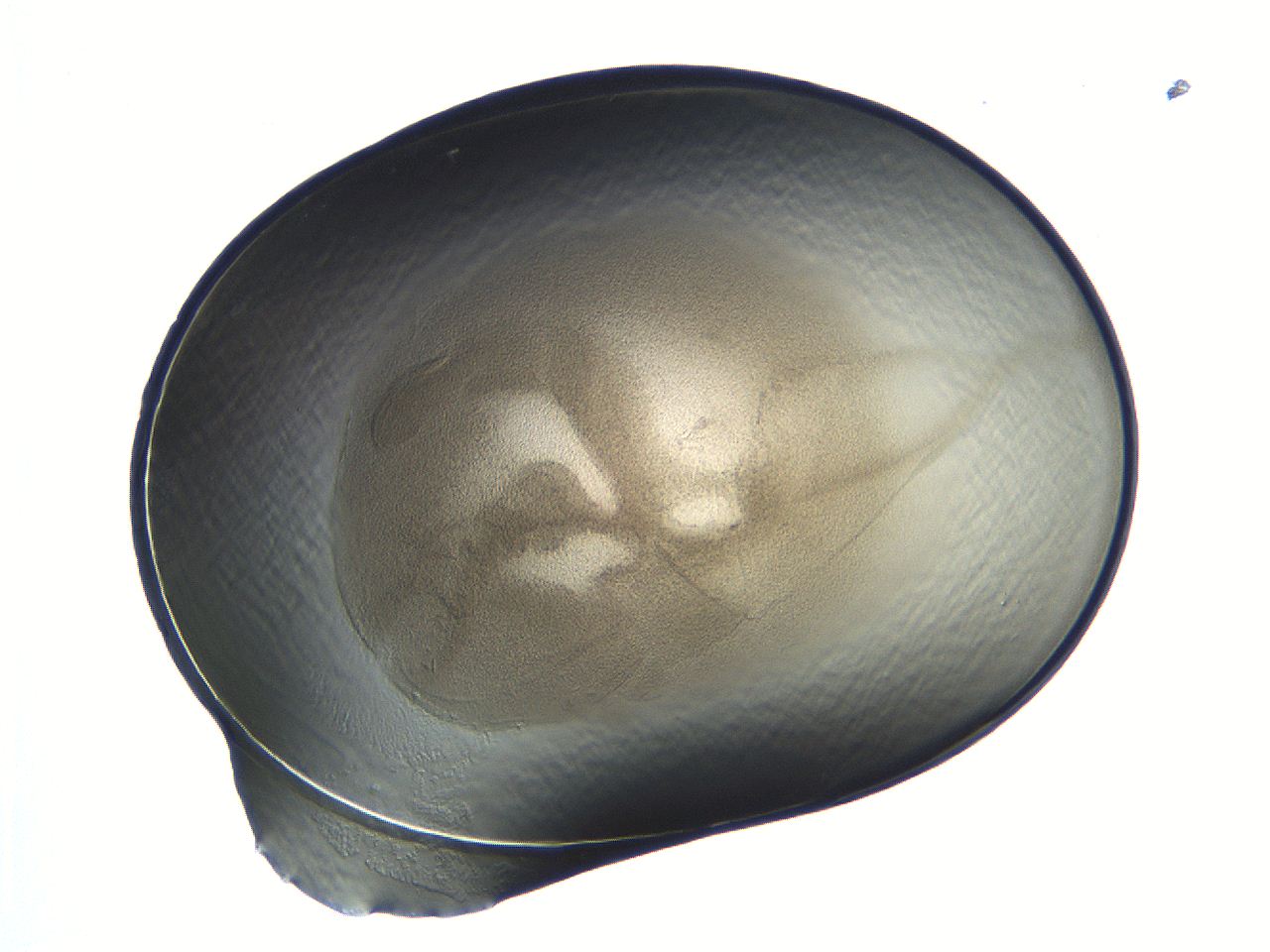 04i7_C5_ImagerDefaults_3.jpg
