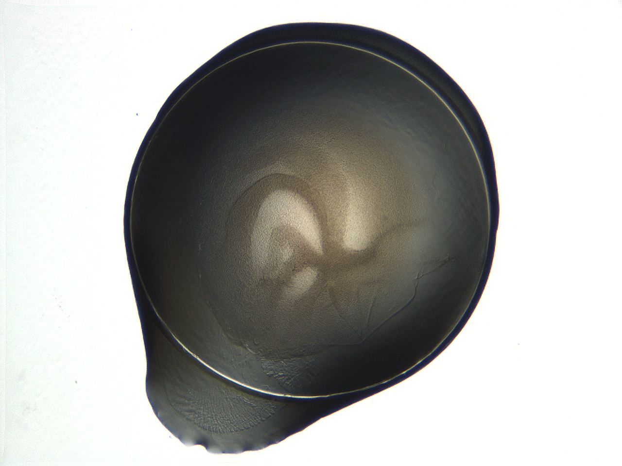 04i7_C8_ImagerDefaults_3.jpg
