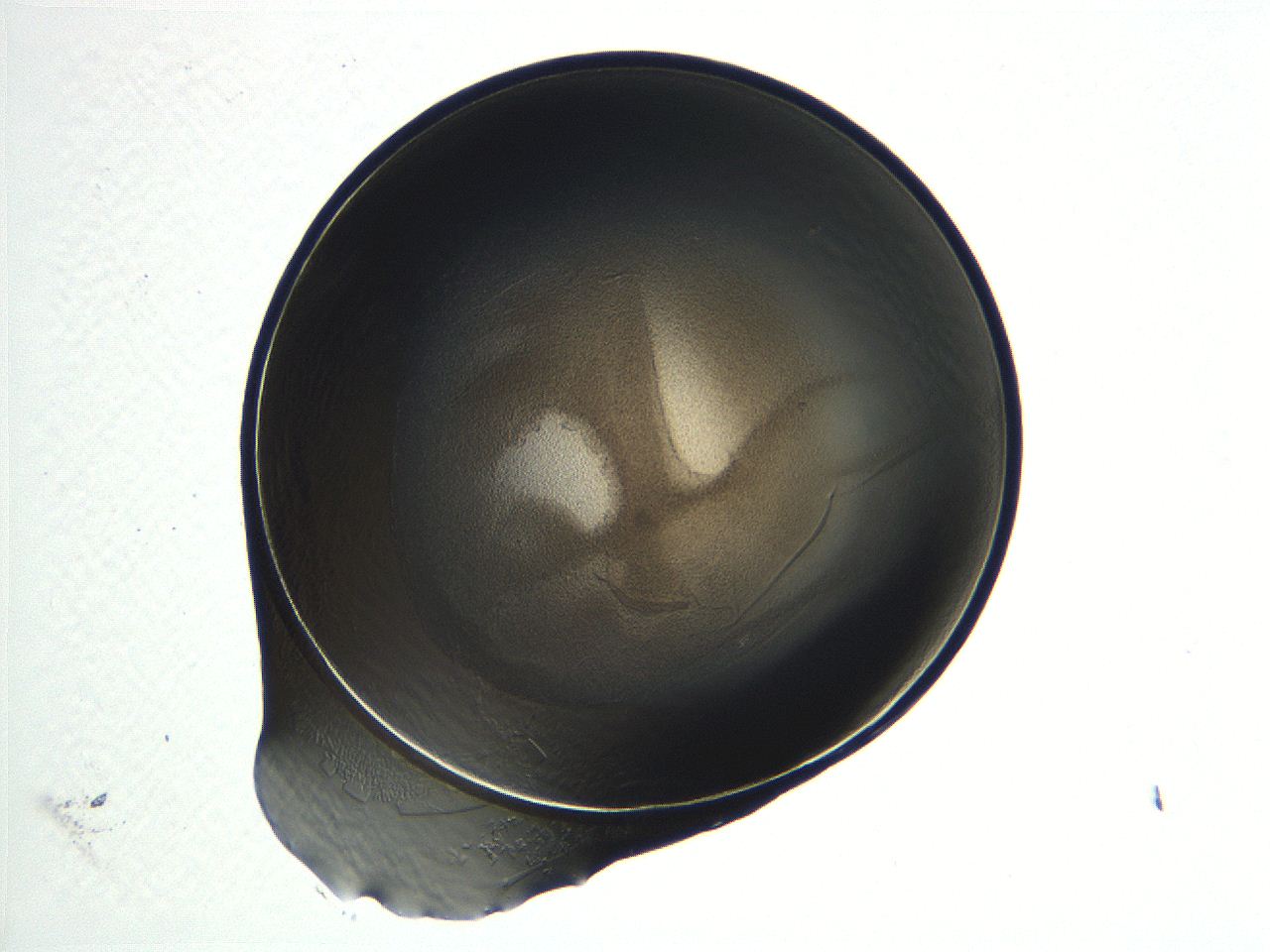 04i7_C9_ImagerDefaults_3.jpg