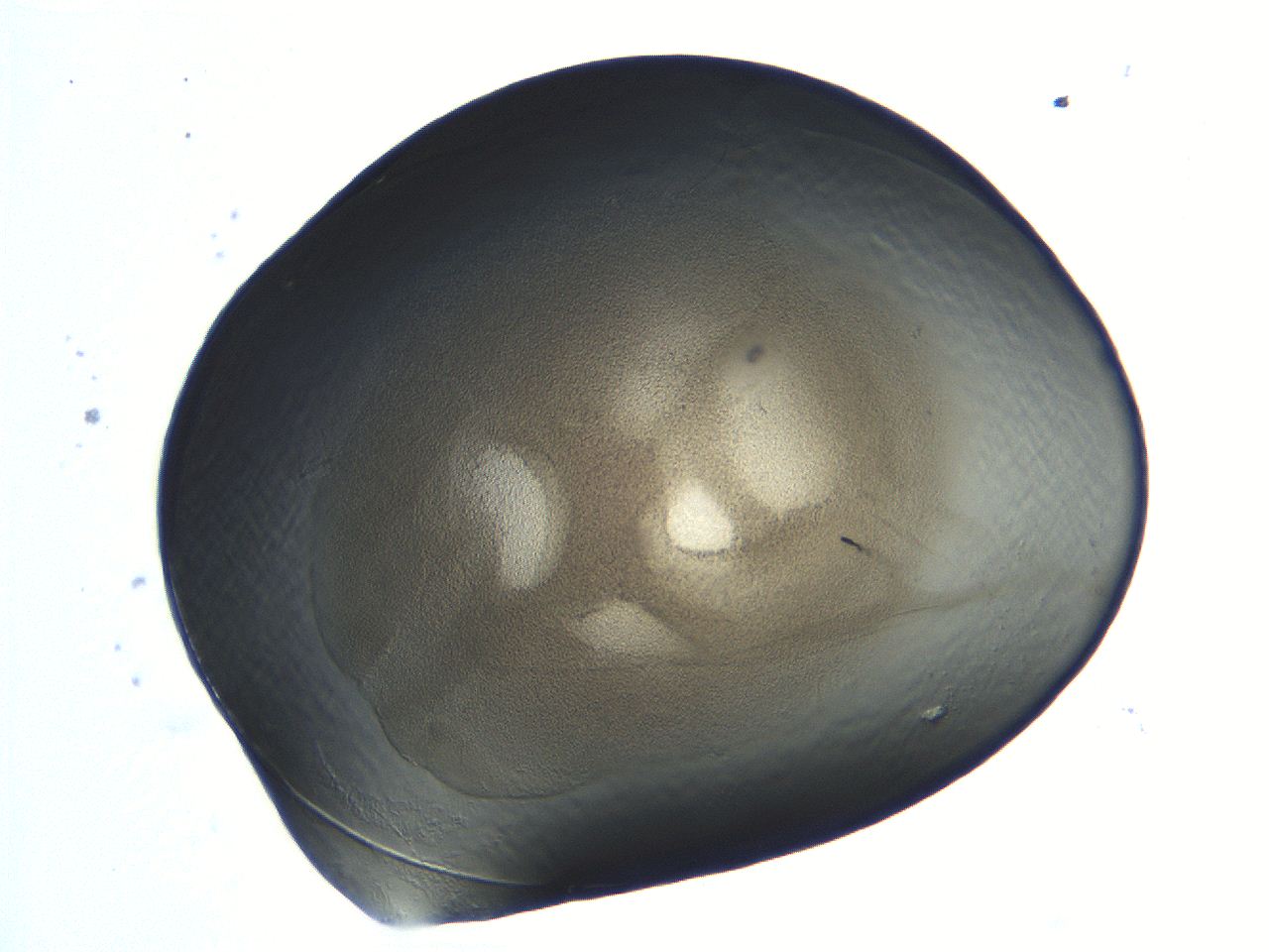 04i7_C1_ImagerDefaults_3.jpg