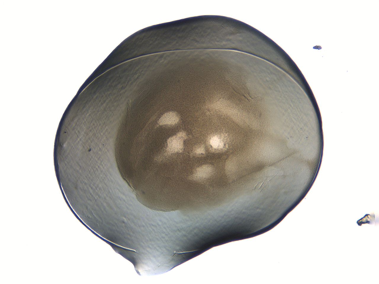 04i7_C2_ImagerDefaults_3.jpg