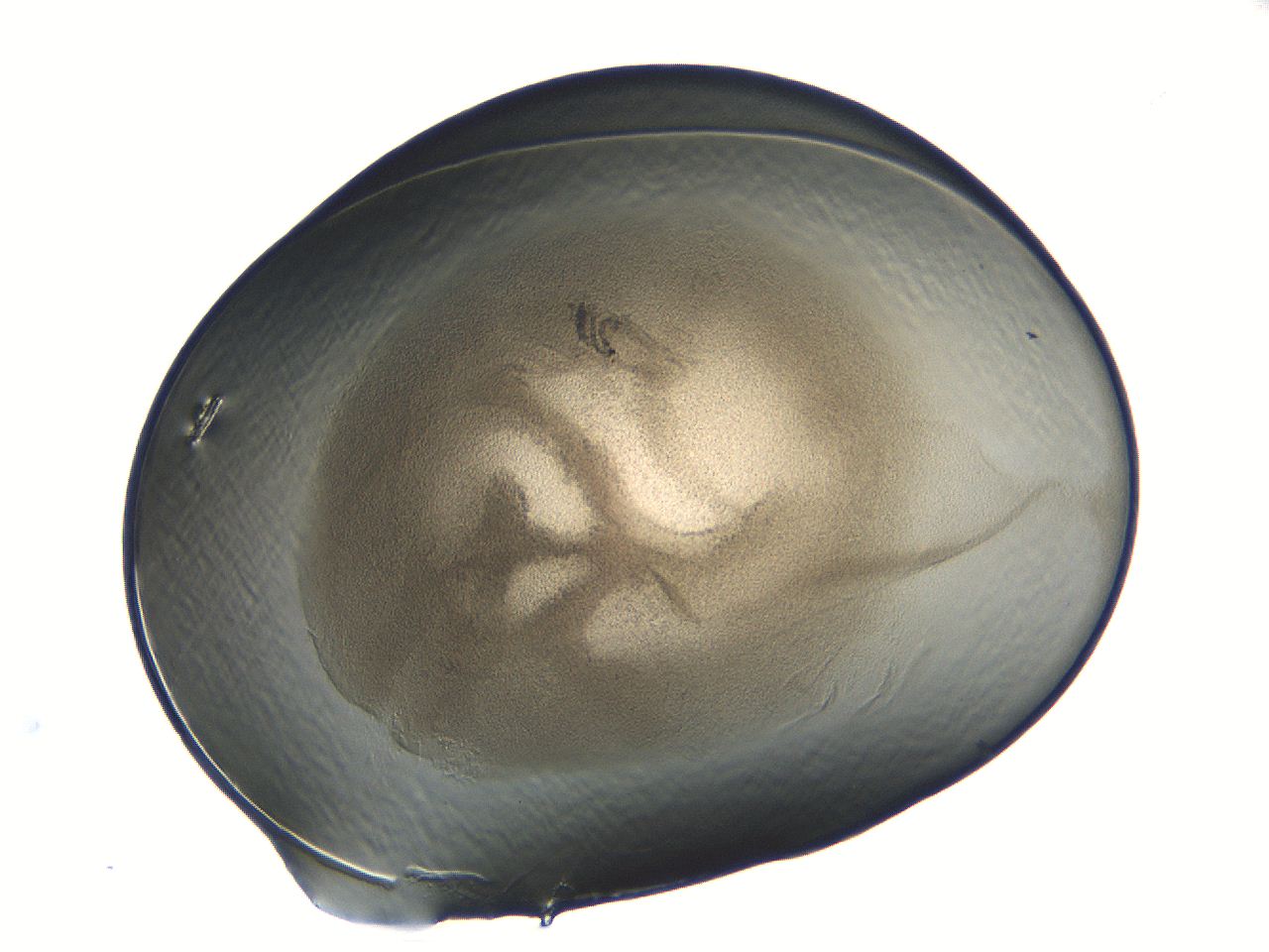 04i7_C3_ImagerDefaults_3.jpg