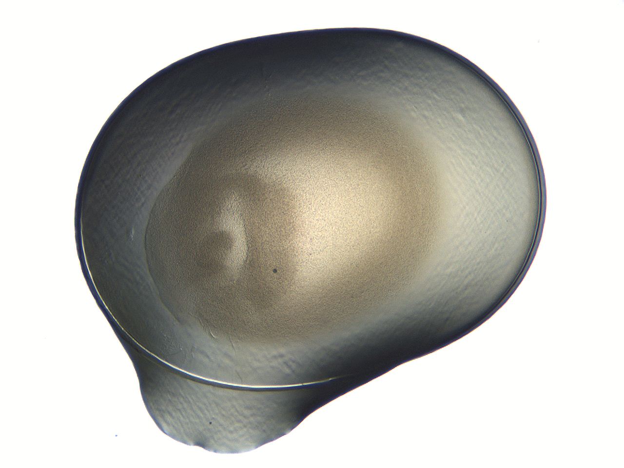 04i7_C4_ImagerDefaults_3.jpg