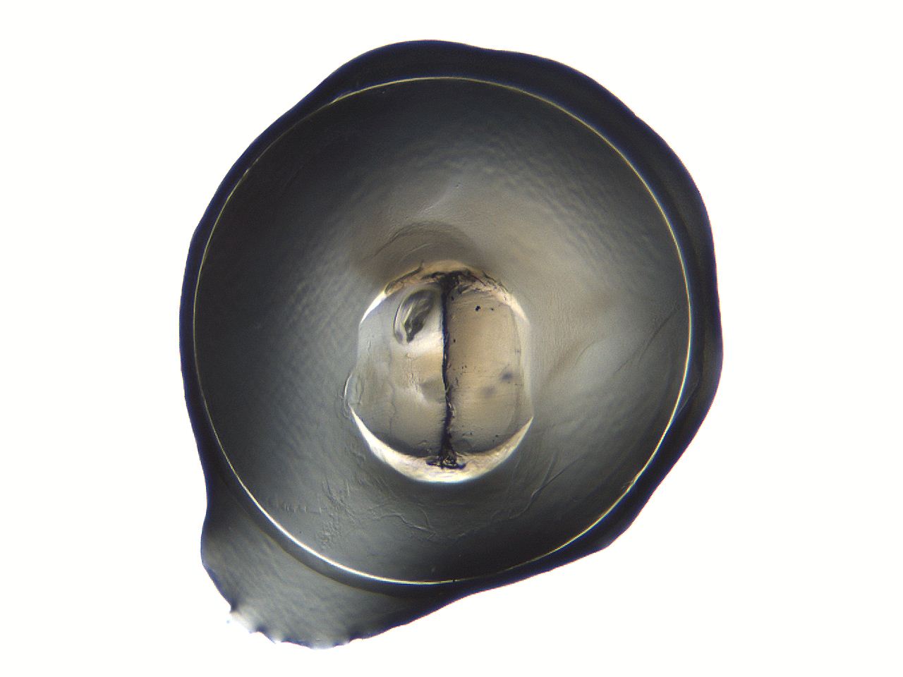 04i7_A7_ImagerDefaults_3.jpg