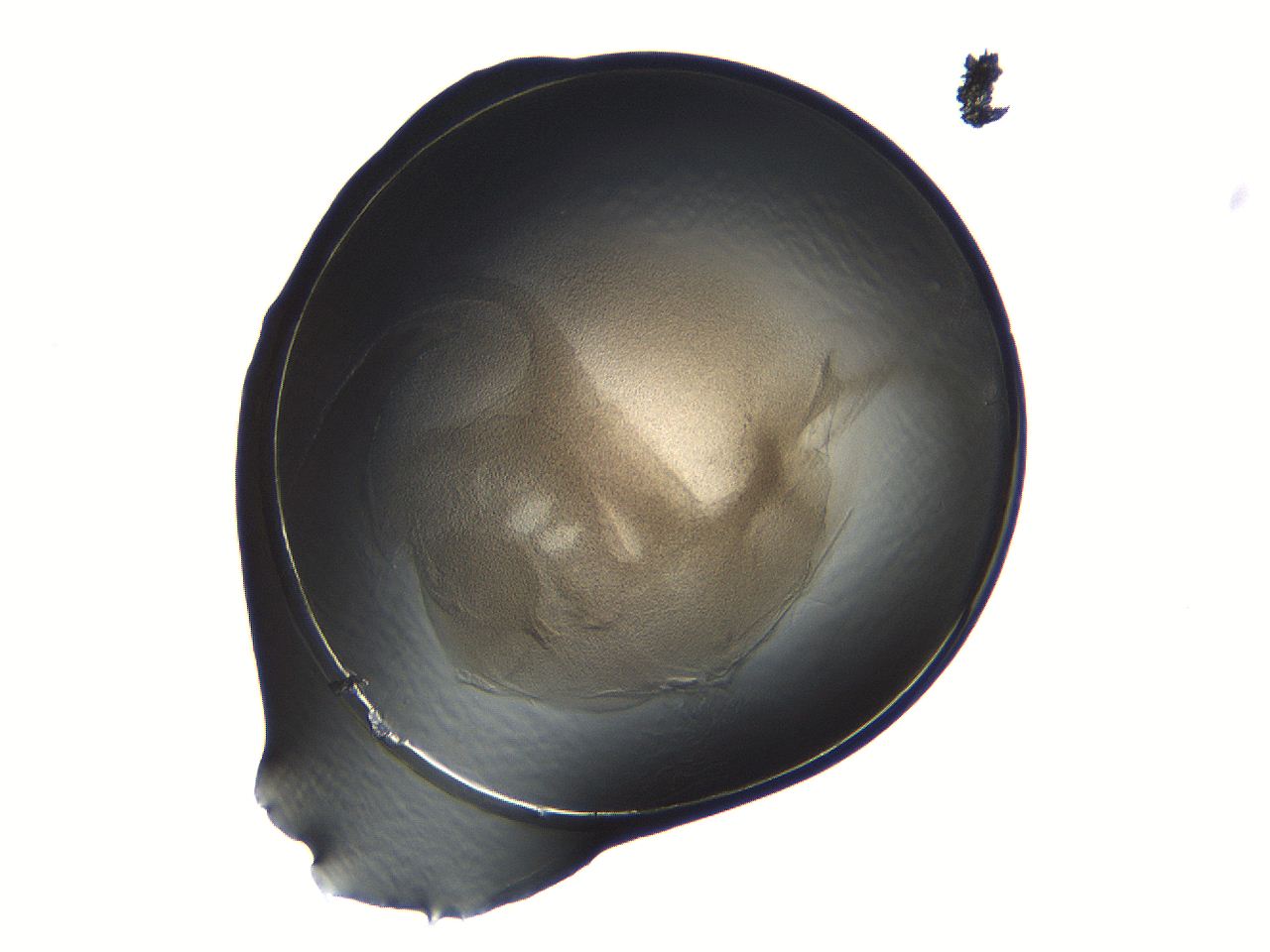 04i7_A8_ImagerDefaults_3.jpg