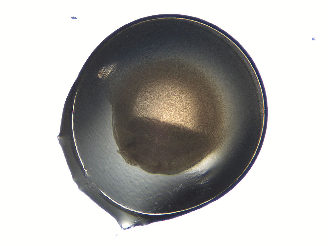 04i7_A9_ImagerDefaults_3.jpg