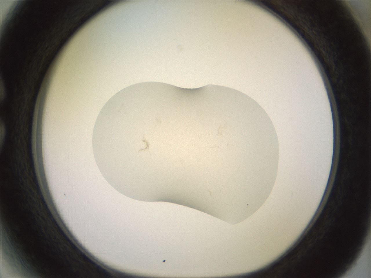 folderID469_plateID3469_batchID20834_wellNum27_profileID1_d1_r308762_ef.jpg