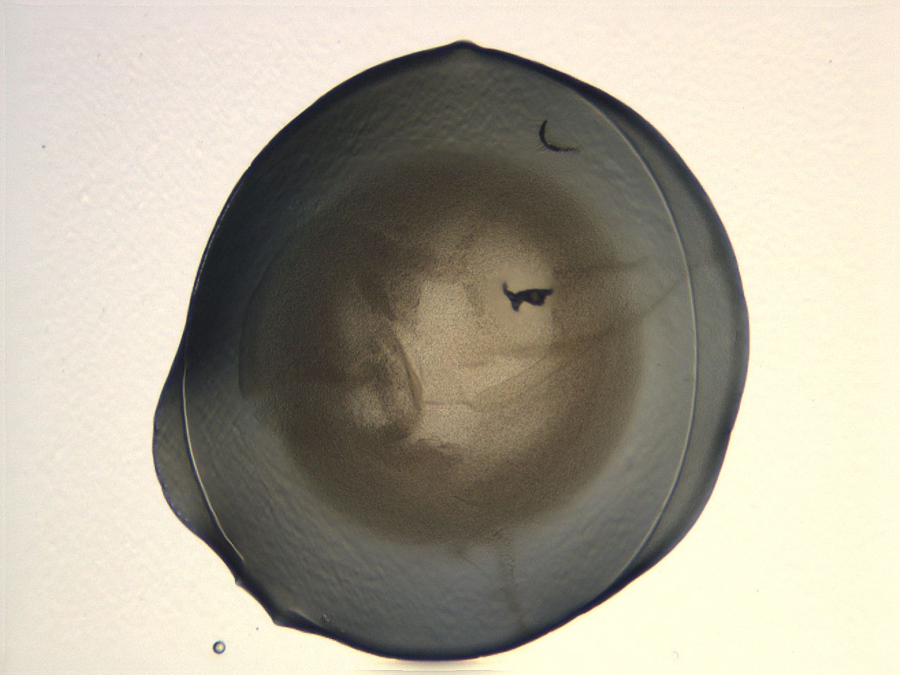 04i7_B2_ImagerDefaults_3.jpg