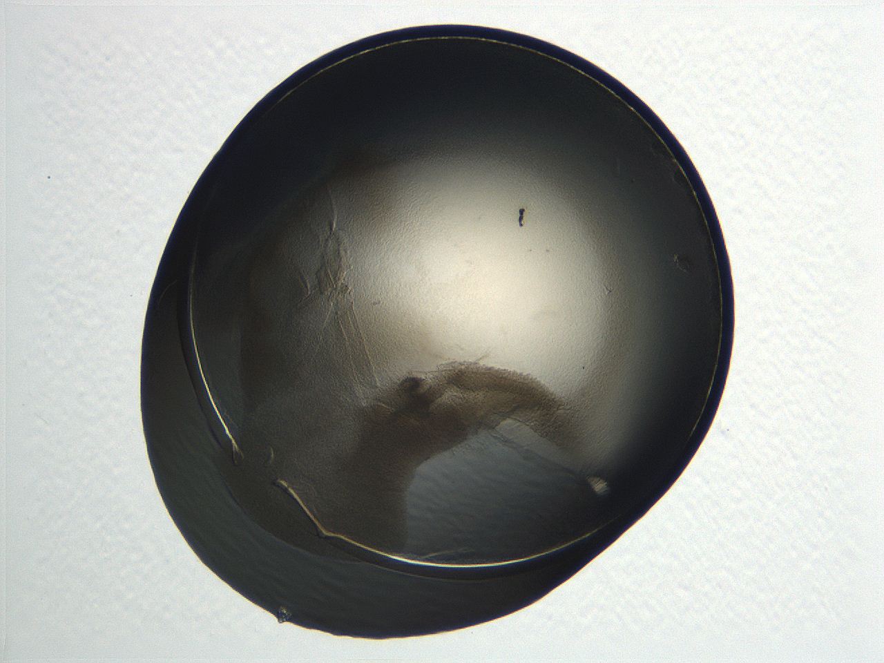 04i7_C12_ImagerDefaults_3.jpg