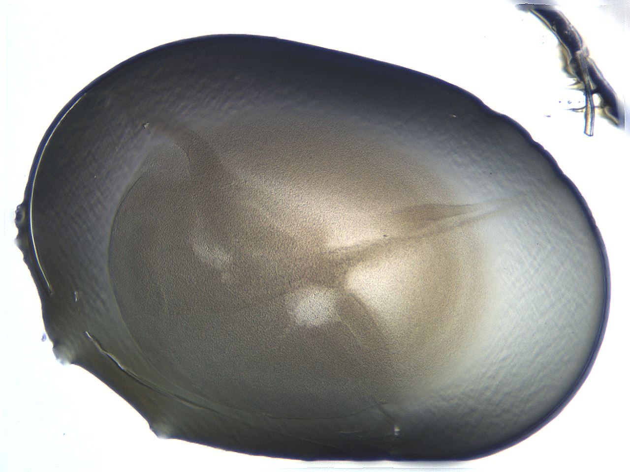 04i7_D2_ImagerDefaults_3.jpg