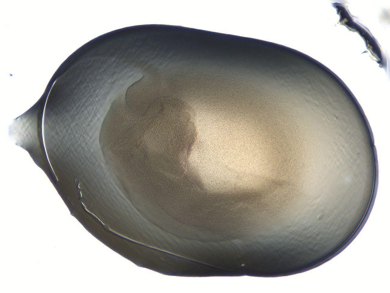 04i7_D4_ImagerDefaults_3.jpg