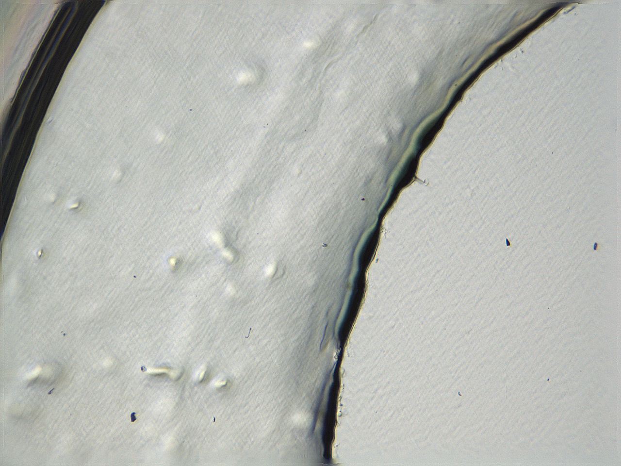04i7_D6_ImagerDefaults_3.jpg
