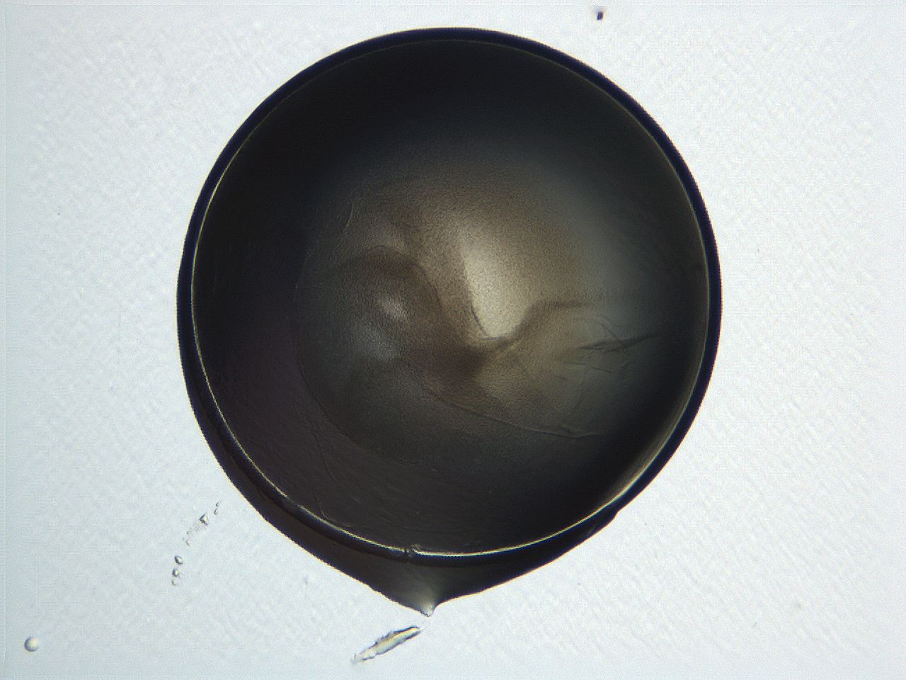 04i7_D10_ImagerDefaults_3.jpg