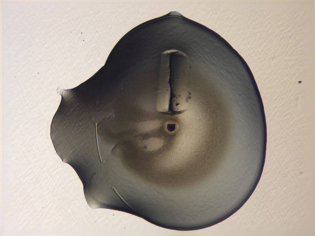 04i7_A1_ImagerDefaults_3.jpg