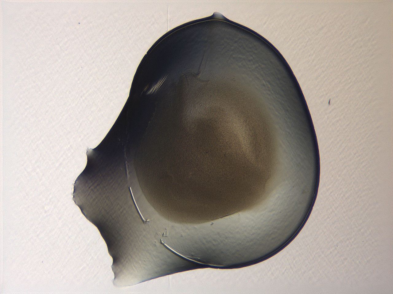 04i7_A4_ImagerDefaults_3.jpg