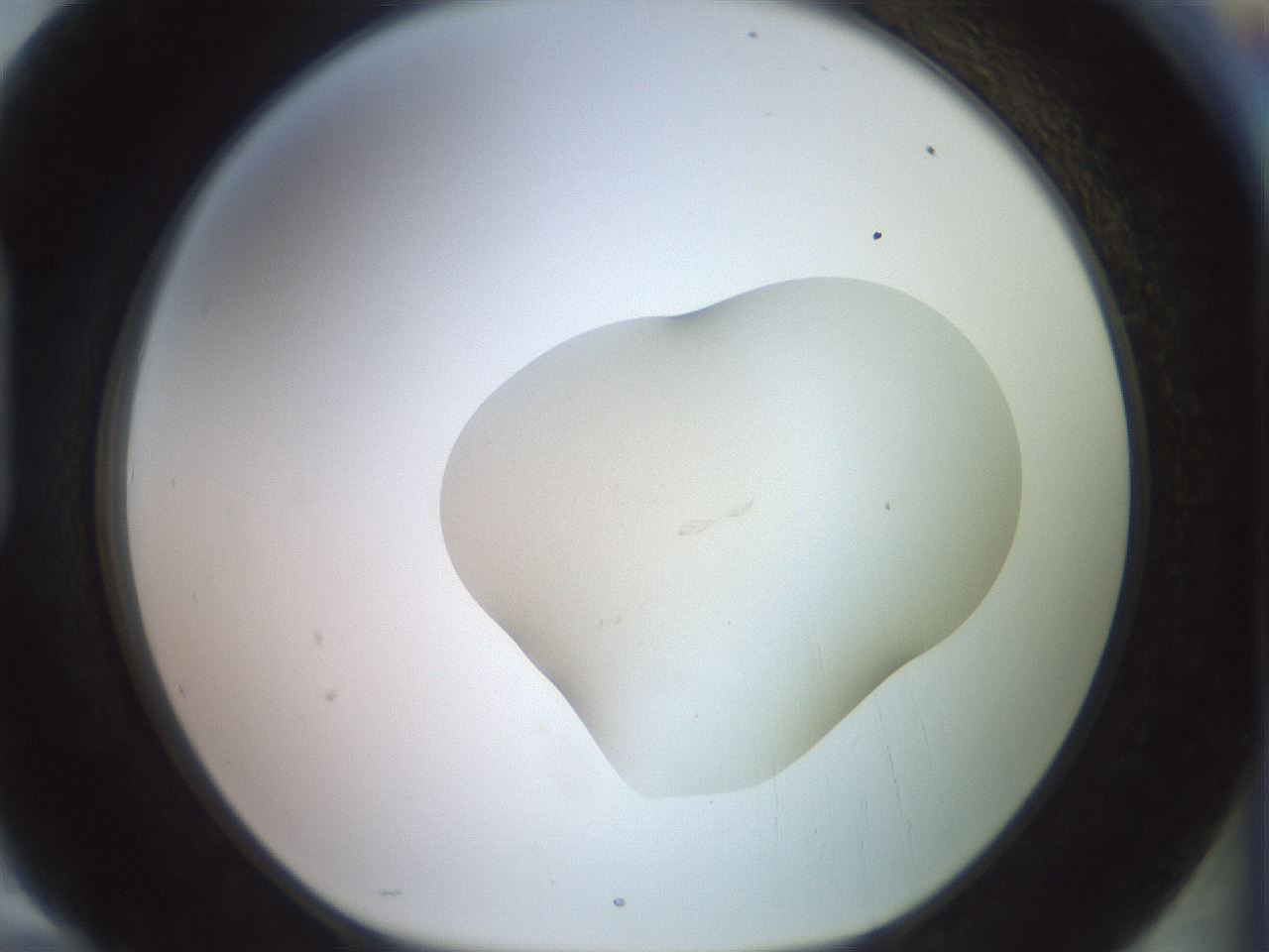 folderID473_plateID3473_batchID22383_wellNum94_profileID1_d1_r308349_ef.jpg
