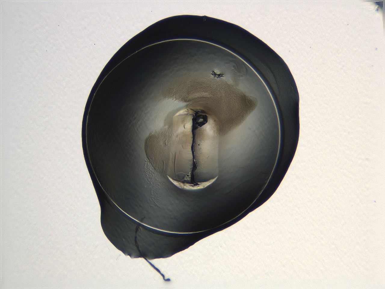 04i7_B7_ImagerDefaults_3.jpg