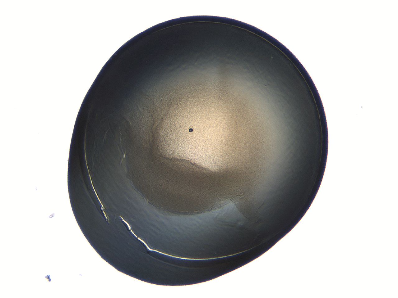 04i7_B10_ImagerDefaults_3.jpg
