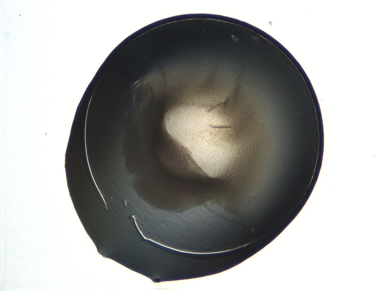 04i7_B11_ImagerDefaults_3.jpg