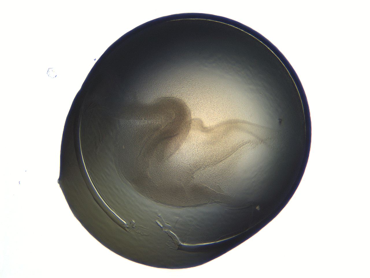 04i7_D11_ImagerDefaults_3.jpg