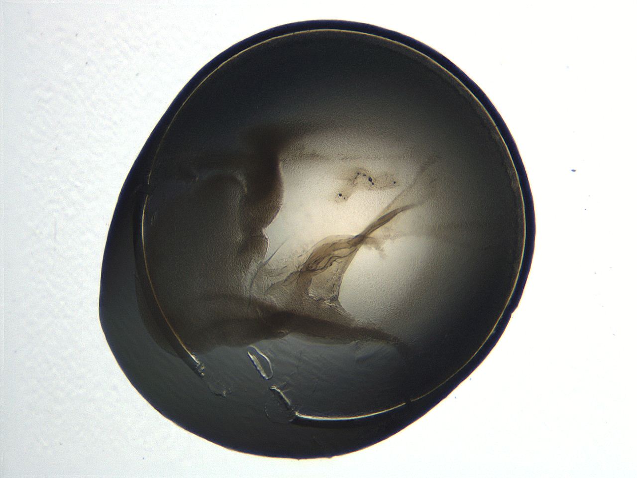 04i7_D12_ImagerDefaults_3.jpg