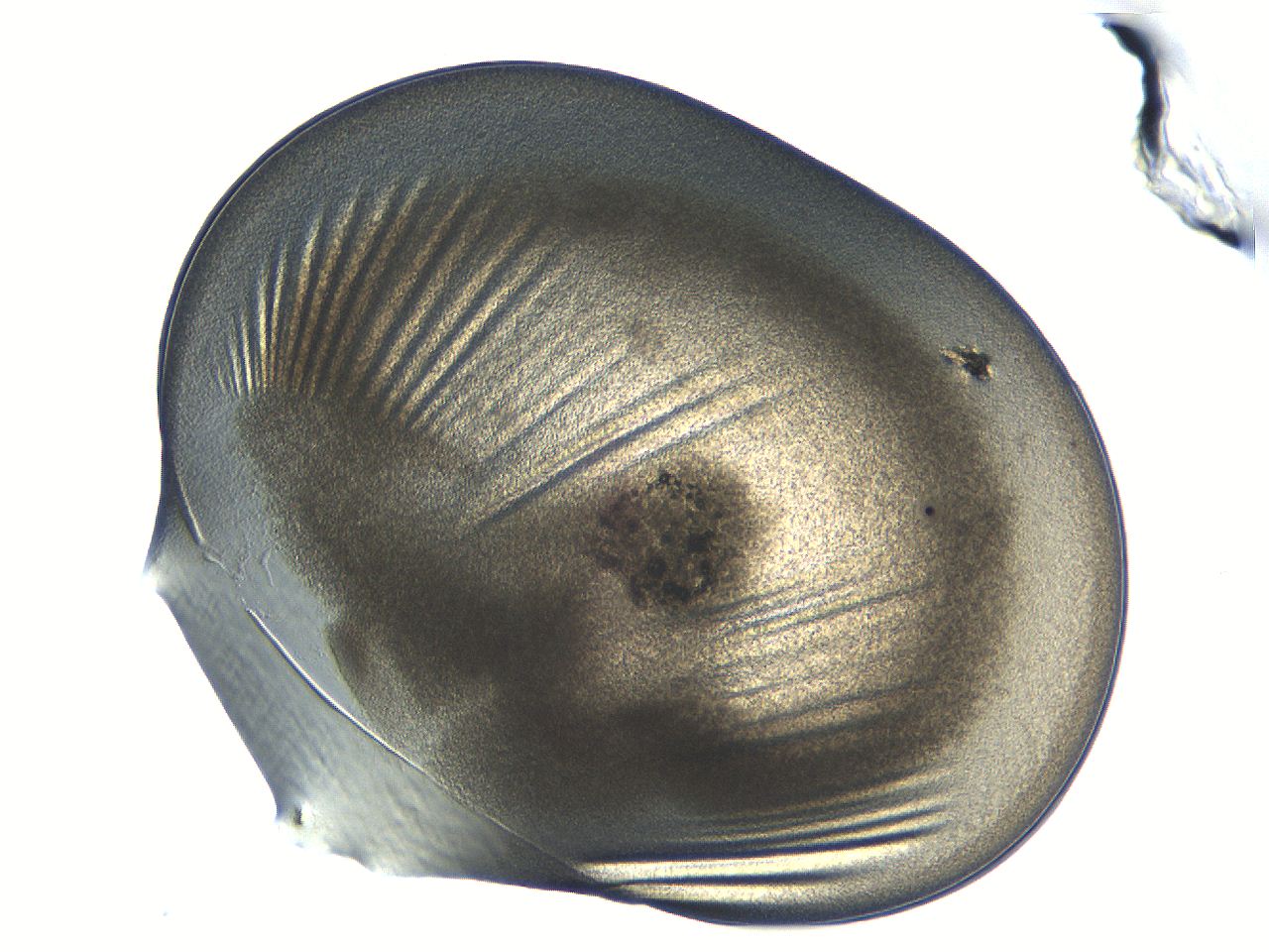 04i7_E1_ImagerDefaults_3.jpg