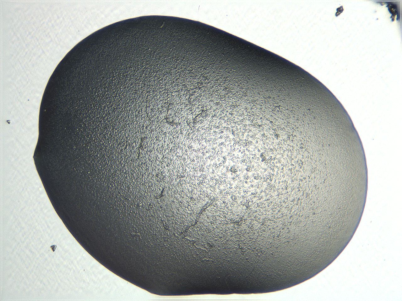 04i7_E5_ImagerDefaults_3.jpg