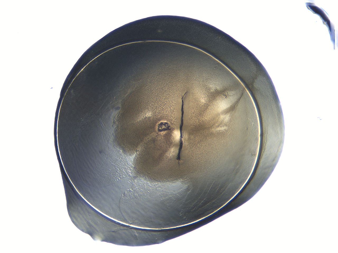 04i7_E7_ImagerDefaults_3.jpg