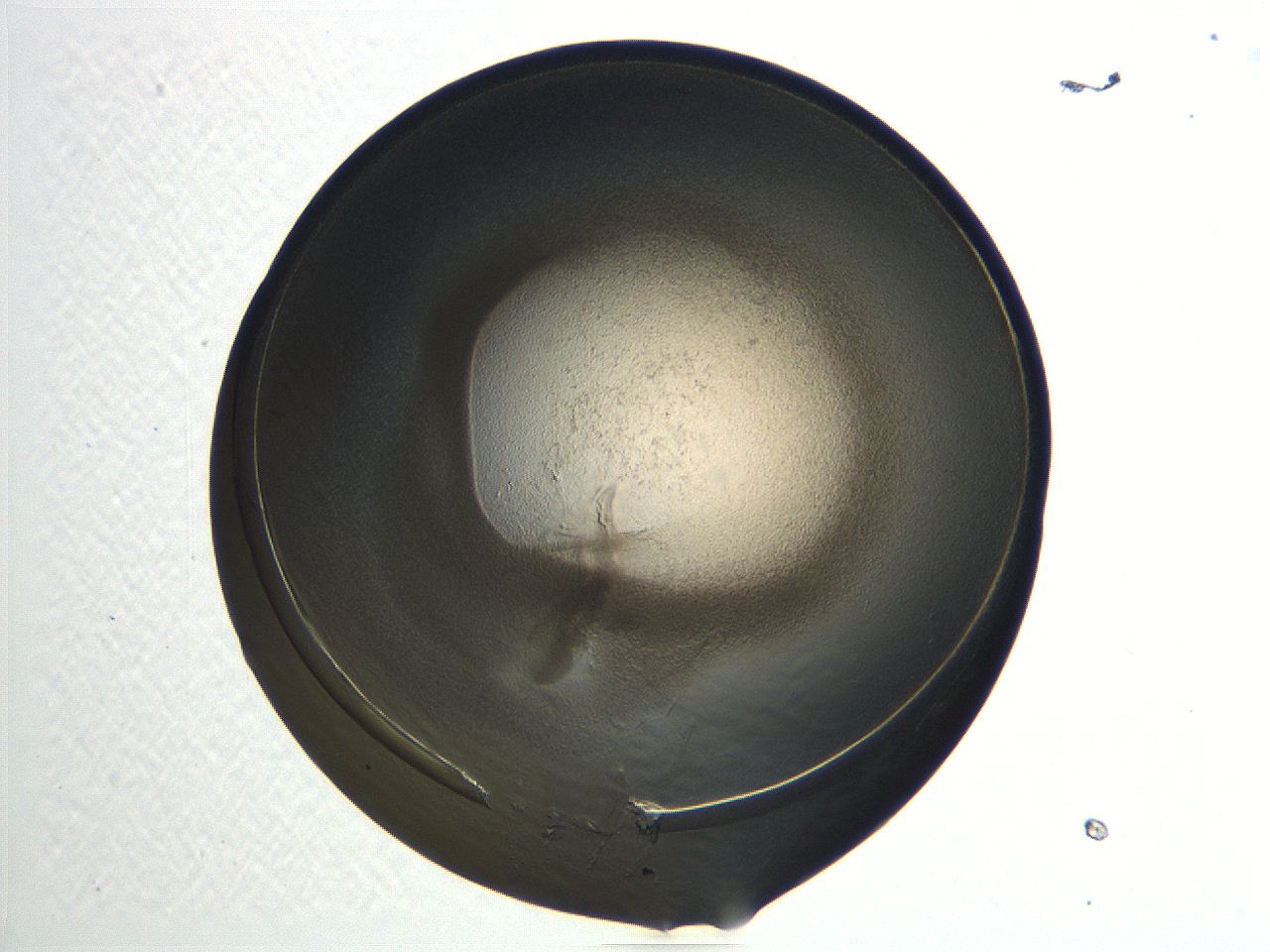 04i7_E11_ImagerDefaults_3.jpg