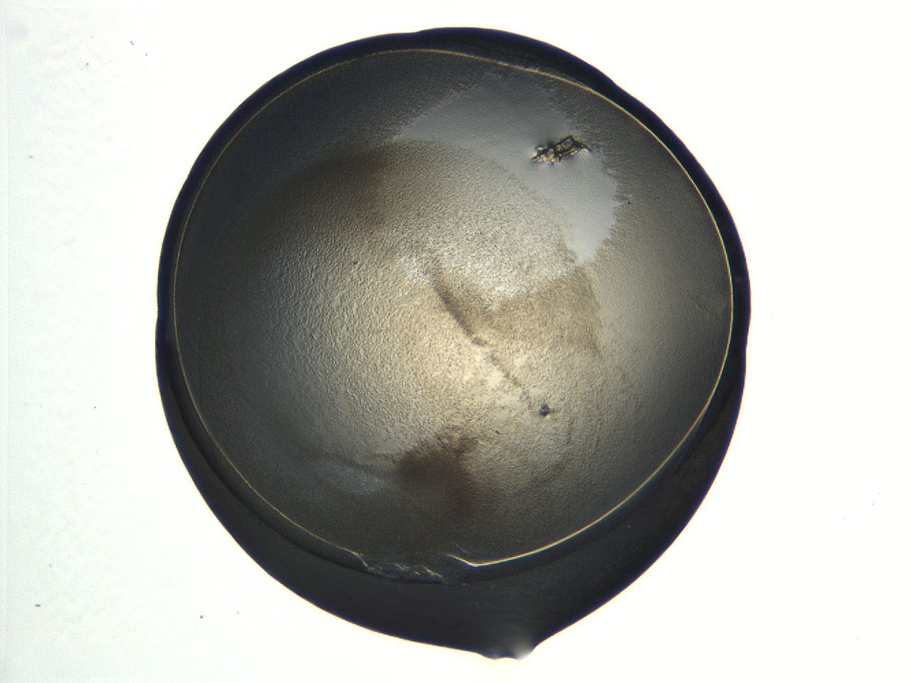 04i7_E12_ImagerDefaults_3.jpg