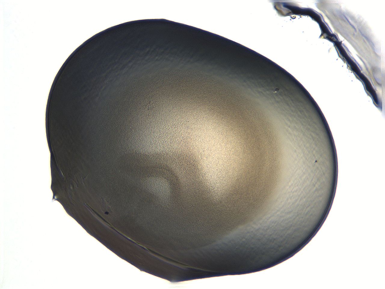 04i7_F3_ImagerDefaults_3.jpg