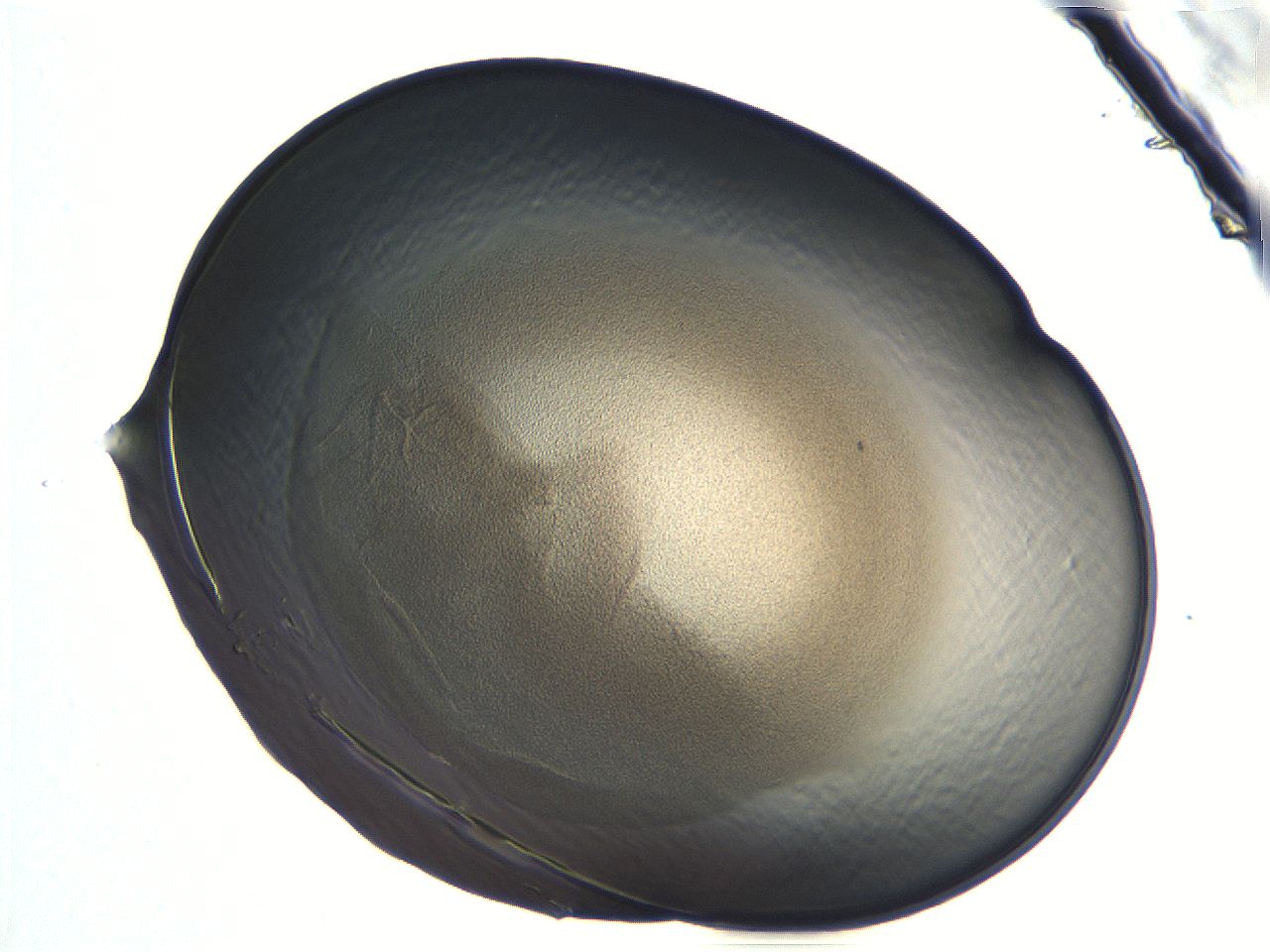 04i7_F4_ImagerDefaults_3.jpg