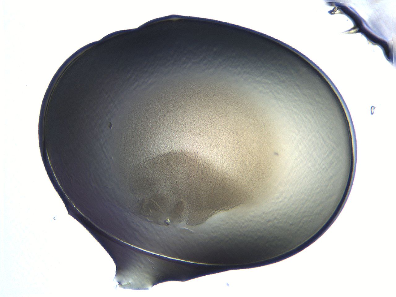04i7_F6_ImagerDefaults_3.jpg