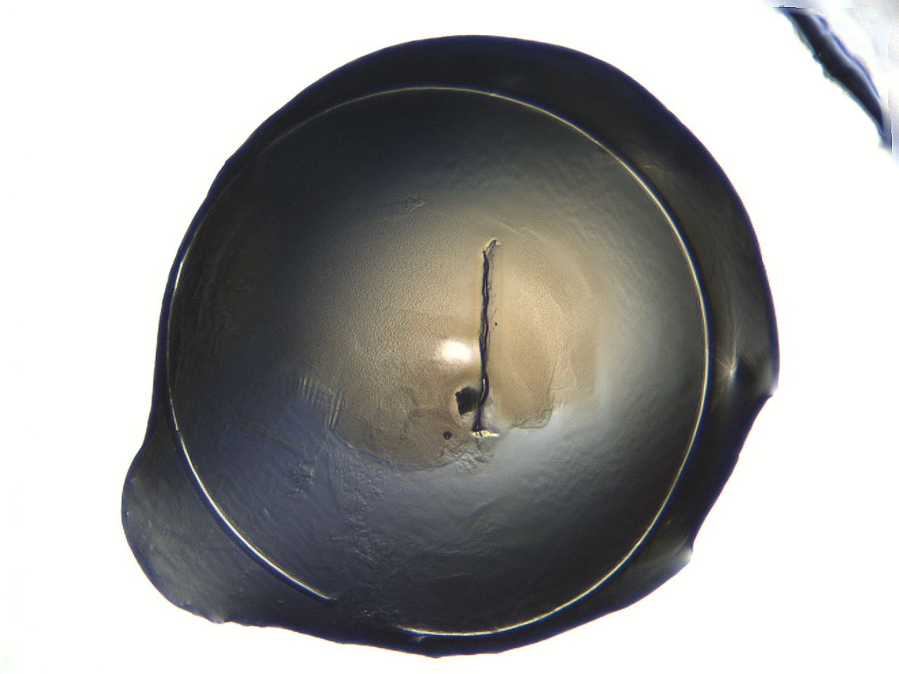 04i7_F7_ImagerDefaults_3.jpg
