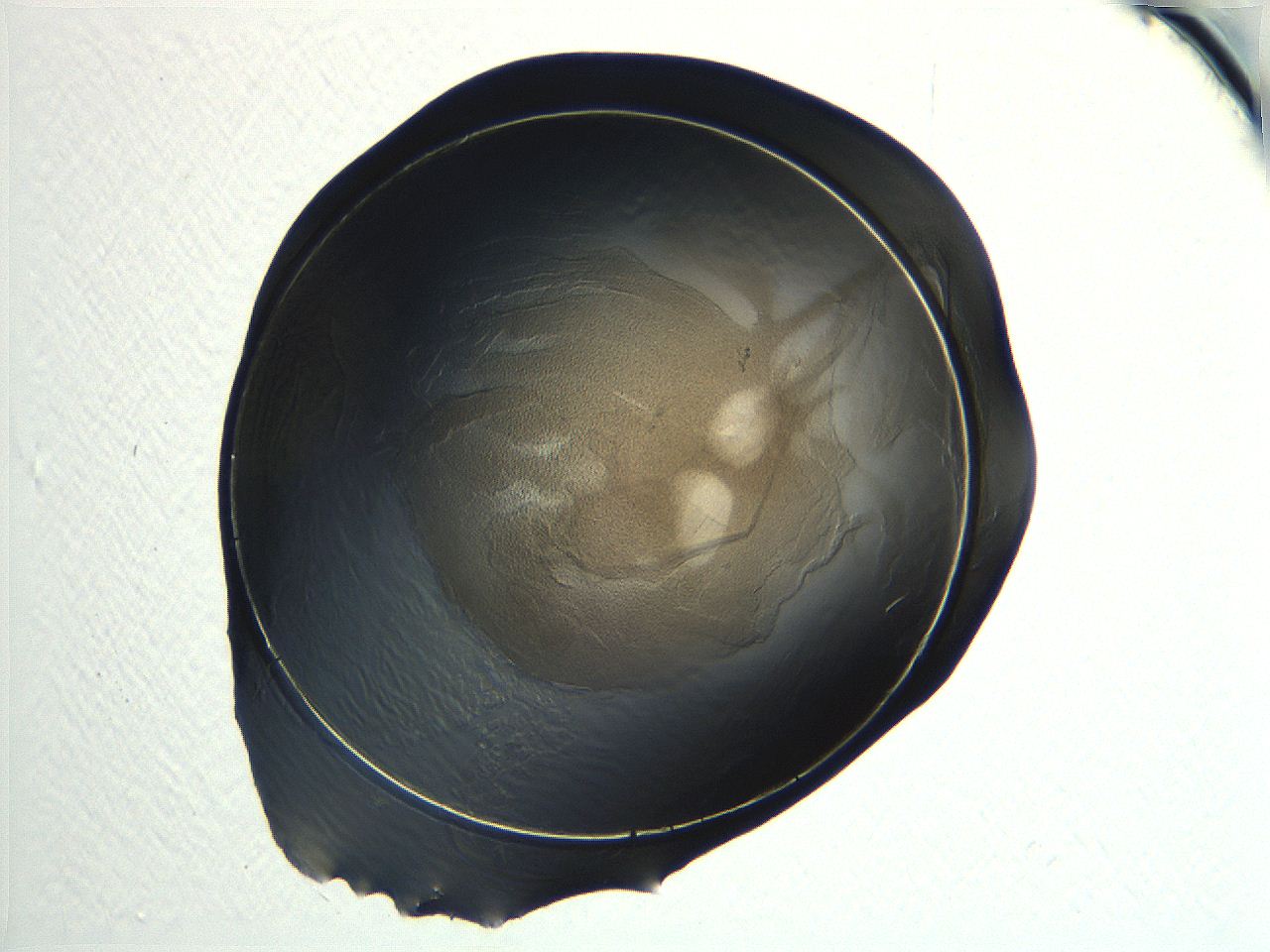 04i7_F8_ImagerDefaults_3.jpg