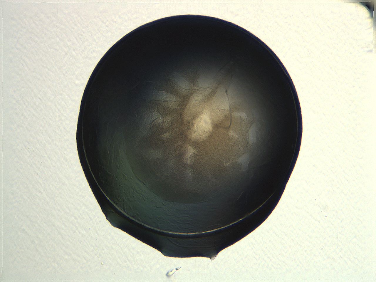 04i7_F9_ImagerDefaults_3.jpg