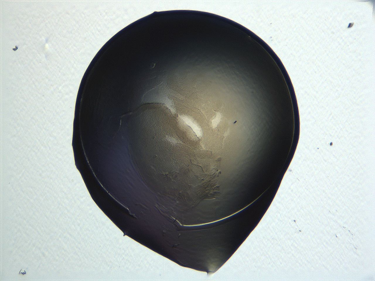 04i7_F10_ImagerDefaults_3.jpg