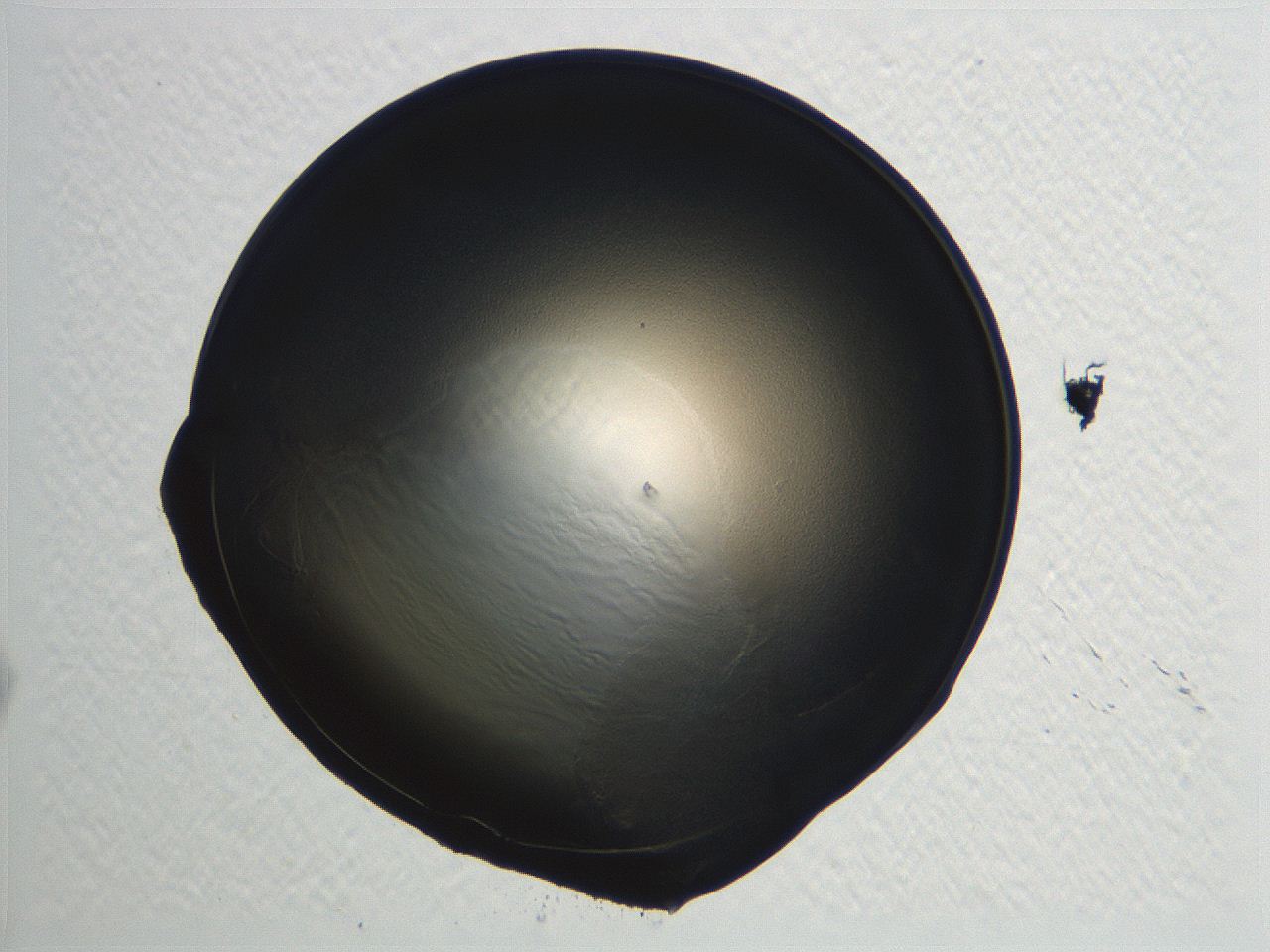 04i7_F11_ImagerDefaults_3.jpg