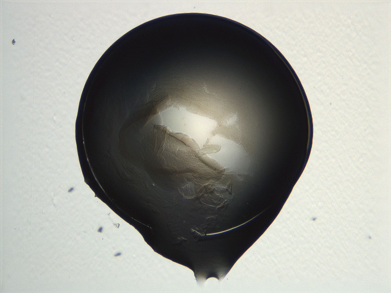 04i7_F12_ImagerDefaults_3.jpg