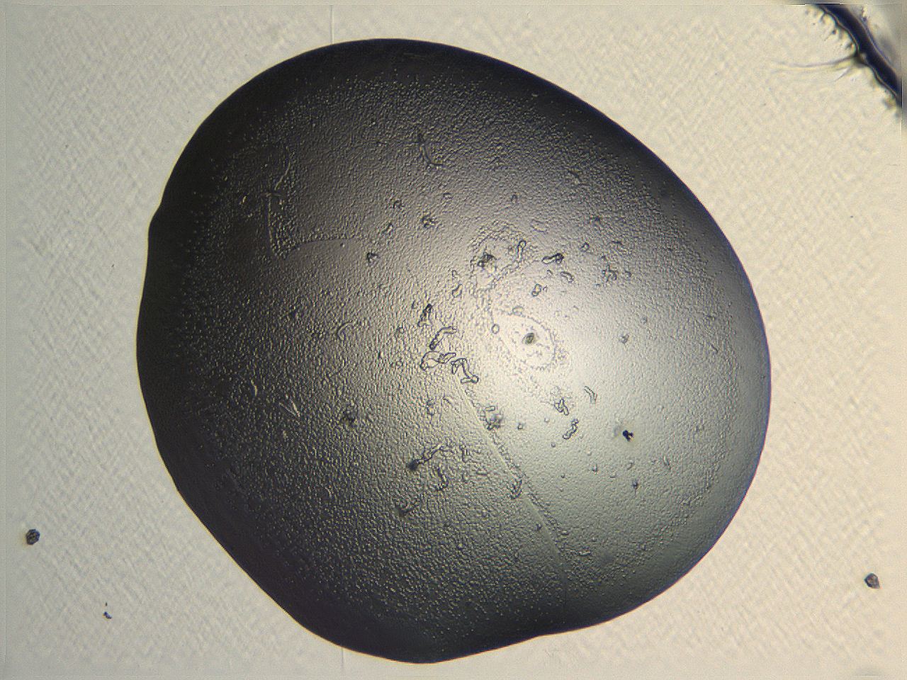 04i7_G4_ImagerDefaults_3.jpg