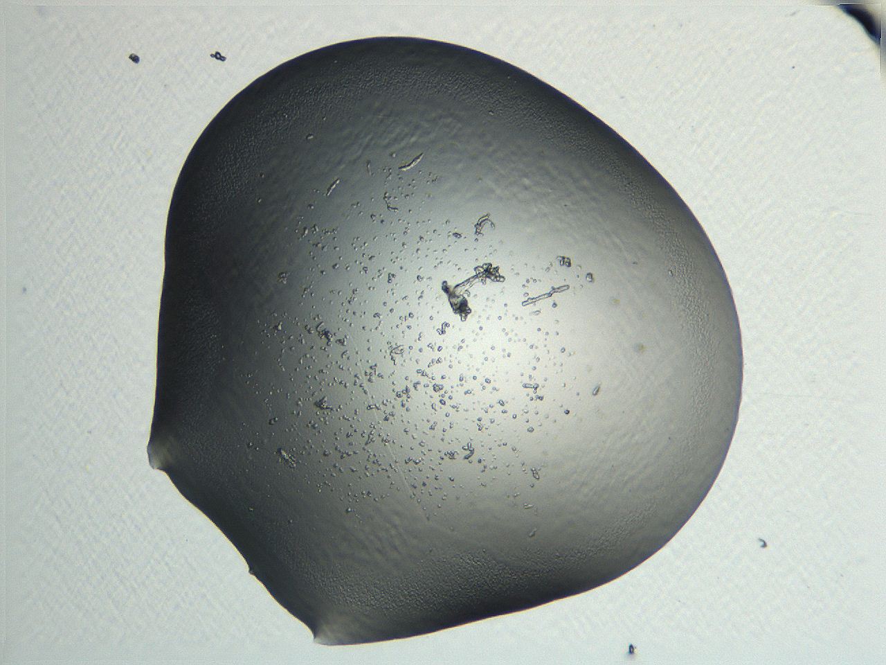 04i7_G5_ImagerDefaults_3.jpg