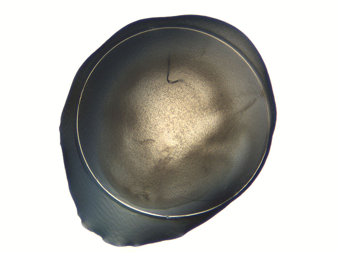 04i7_G8_ImagerDefaults_3.jpg