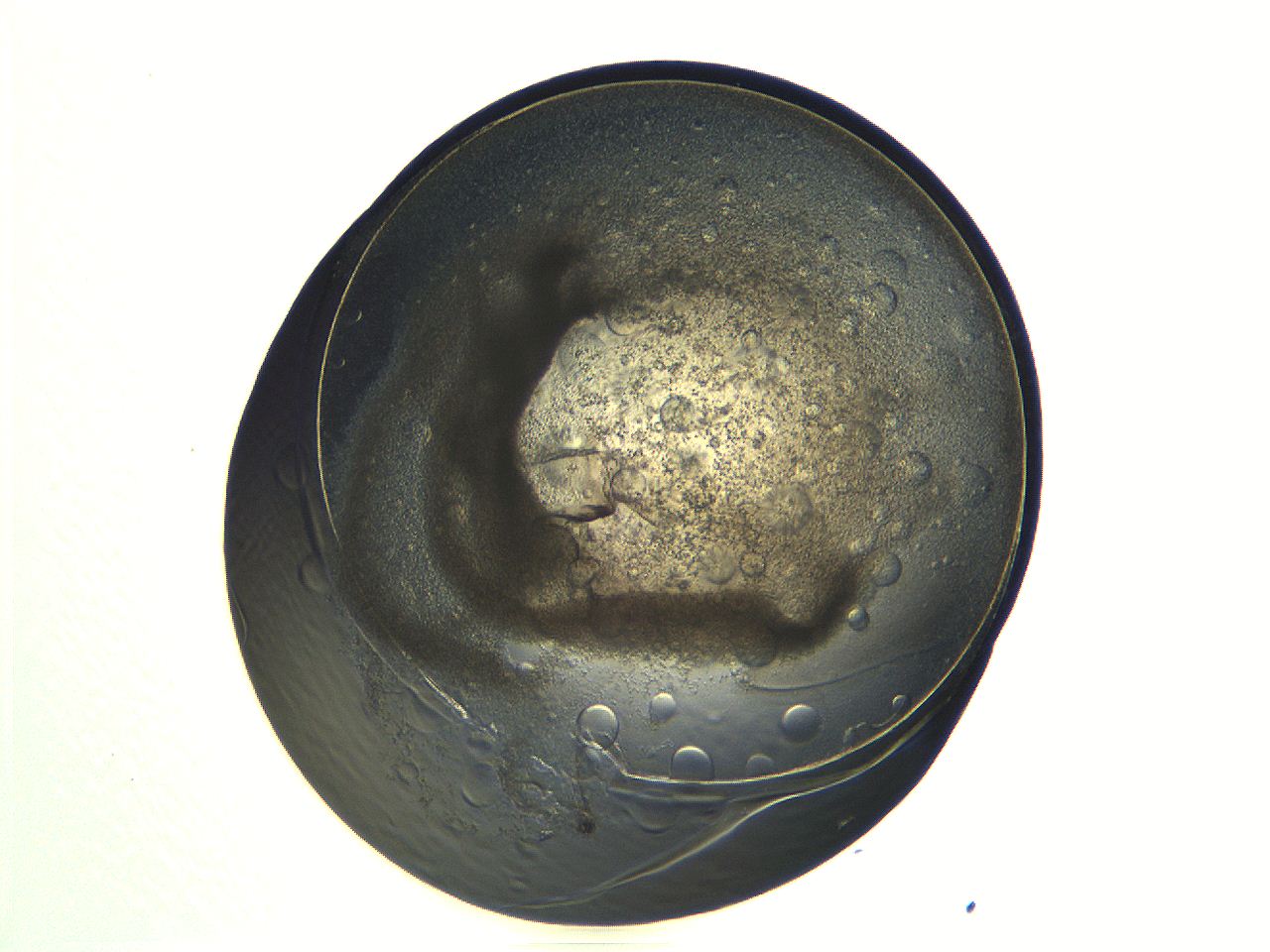 04i7_G11_ImagerDefaults_3.jpg