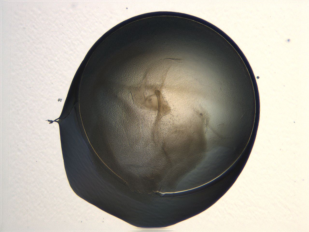 04i7_G12_ImagerDefaults_3.jpg