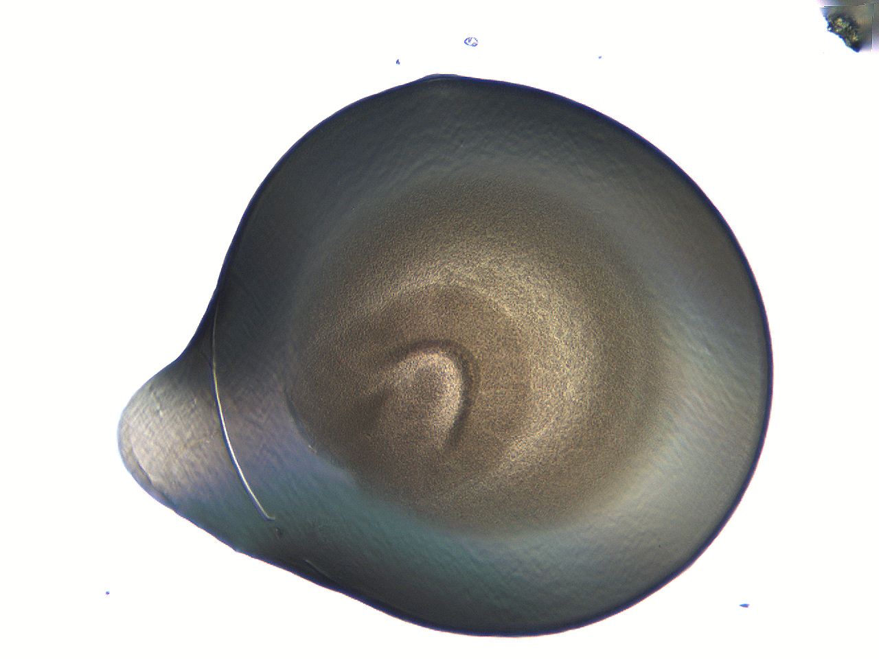 04i7_H1_ImagerDefaults_3.jpg
