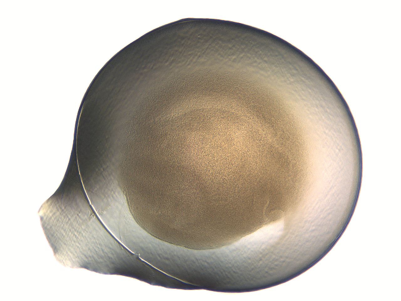 04i7_H2_ImagerDefaults_3.jpg