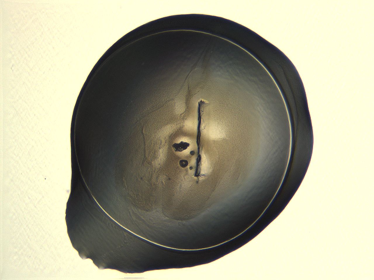 04i7_H7_ImagerDefaults_3.jpg