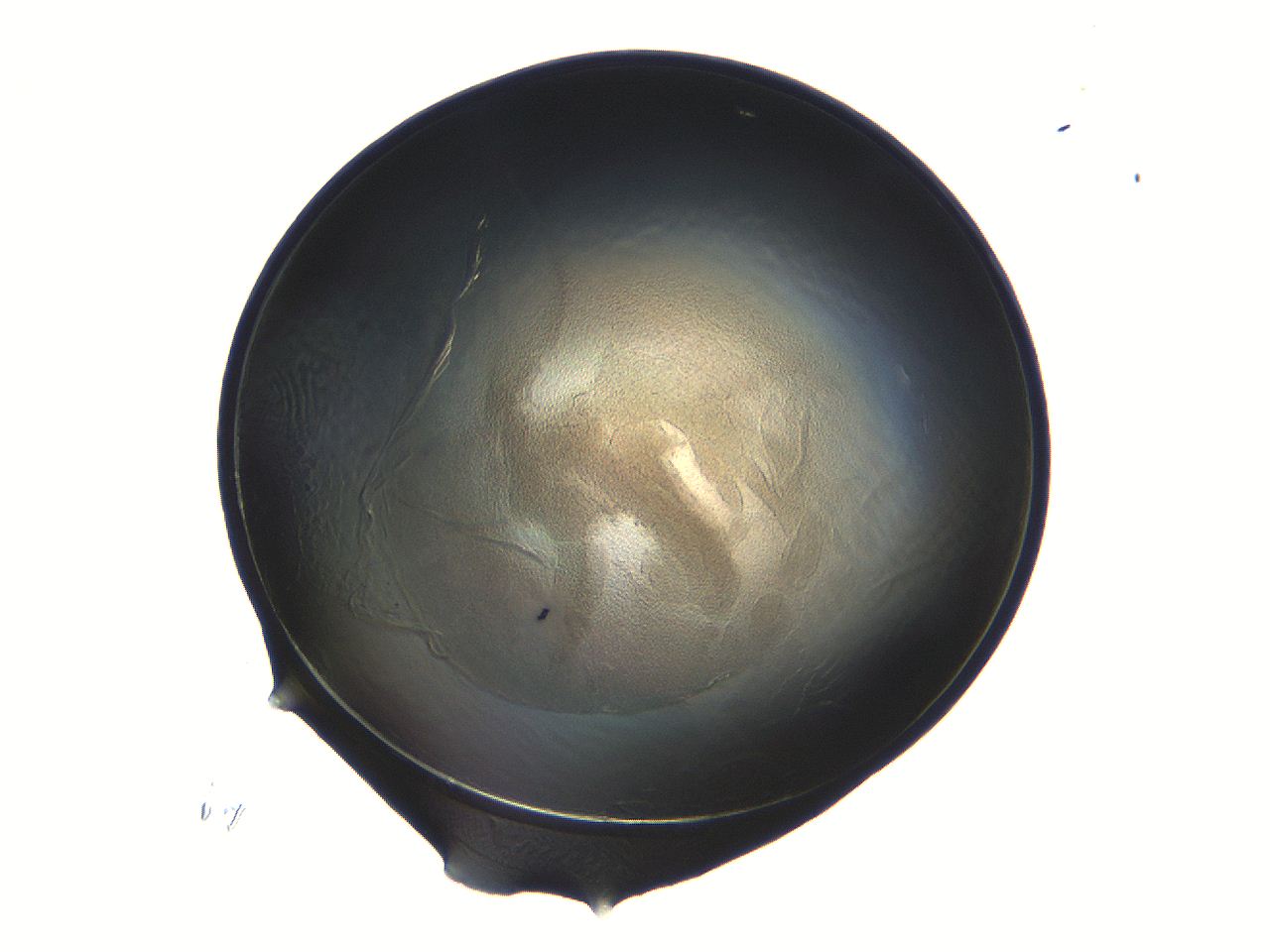 04i7_H9_ImagerDefaults_3.jpg