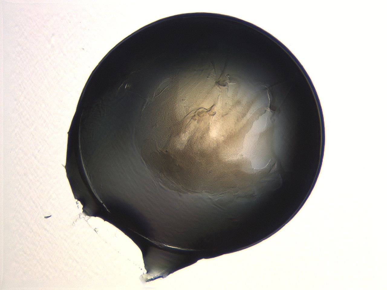 04i7_H10_ImagerDefaults_3.jpg